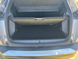 
										PEUGEOT 2008 1.5cc BlueHDi s&s 110cv GT full									