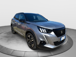 
										PEUGEOT 2008 1.5cc BlueHDi s&s 110cv GT full									