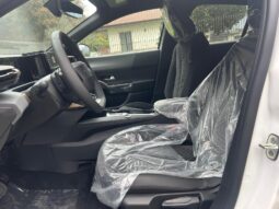 
										Lancia Nuova Ypsilon 1.2cc 100cv Ibrida LX full									