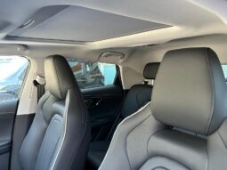 
										OMODA 5 1.6cc TGDI 147cv Auto Premium full									