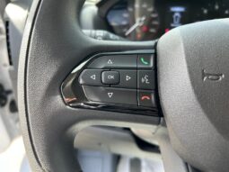 
										FIAT Ducato 9 Posti 35Q MH2 2.2 M-jet 3 140CV Trasp. Disabili full									