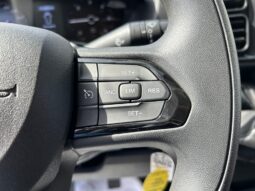 
										FIAT Ducato 9 Posti 35Q MH2 2.2 M-jet 3 140CV Trasp. Disabili full									