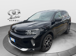 
										Citroen C5 Aircross 1.5cc BlueHDi 130cv EAT8 Max full									