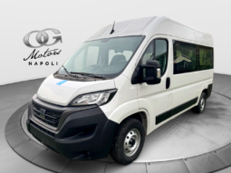 FIAT Ducato 9 Posti 35Q MH2 2.2 M-jet 3 140CV Trasp. Disabili