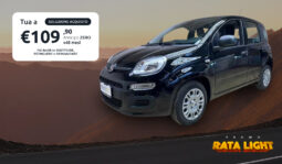 FIAT Panda 1.0cc Hybrid 70cv MY23