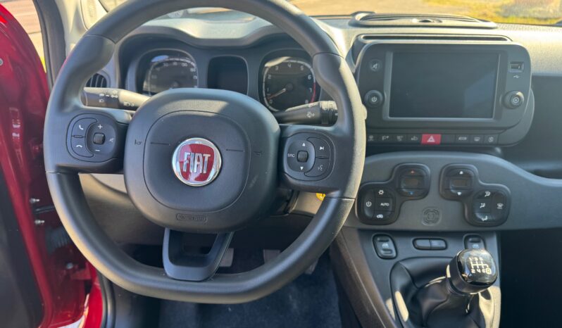 
								FIAT Panda 1.0cc 70cv HYBRID CROSS full									