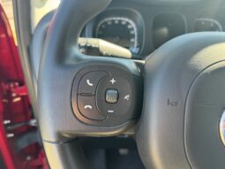 
										FIAT Panda 1.0cc 70cv HYBRID CROSS full									