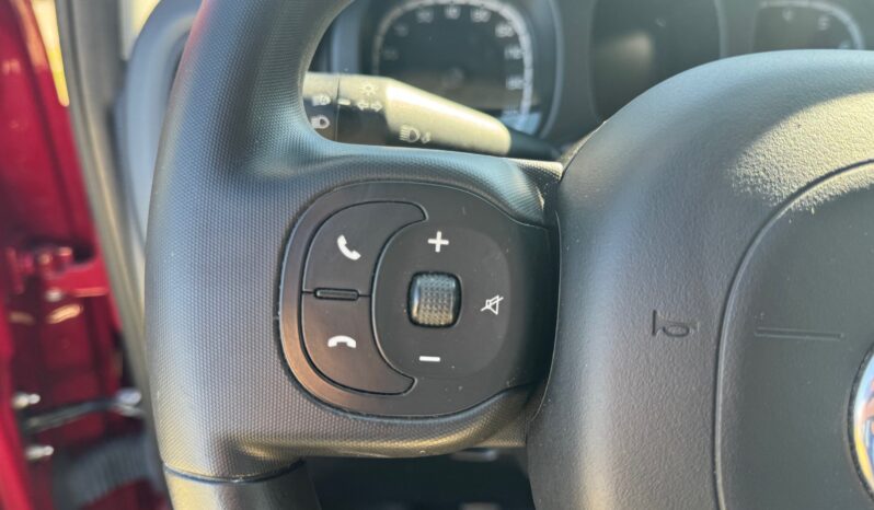 
								FIAT Panda 1.0cc 70cv HYBRID CROSS full									