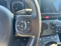 
										FIAT Panda 1.0cc 70cv HYBRID CROSS full									