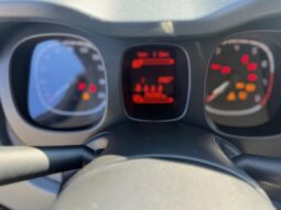 
										FIAT Panda 1.0cc 70cv HYBRID CROSS full									