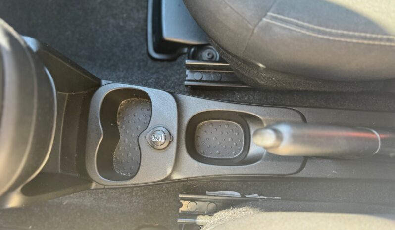 
								FIAT Panda 1.0cc 70cv HYBRID CROSS full									