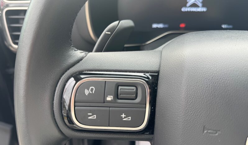 
								Citroen C5 Aircross 1.5cc BlueHDi 130cv S&S EAT8 MAX full									