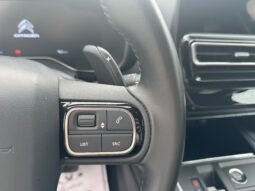 
										Citroen C5 Aircross 1.5cc BlueHDi 130cv S&S EAT8 MAX full									