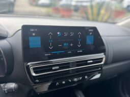 
										Citroen C5 Aircross 1.5cc BlueHDi 130cv S&S EAT8 MAX full									