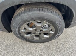 
										JEEP Avenger 1.2cc 100cv DCT MHEV Longitude full									