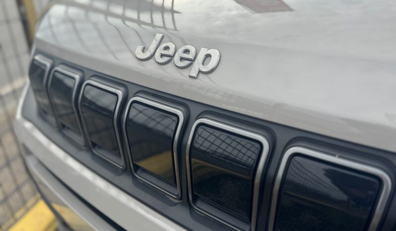 
								JEEP Avenger 1.2cc 100cv DCT MHEV Longitude full									