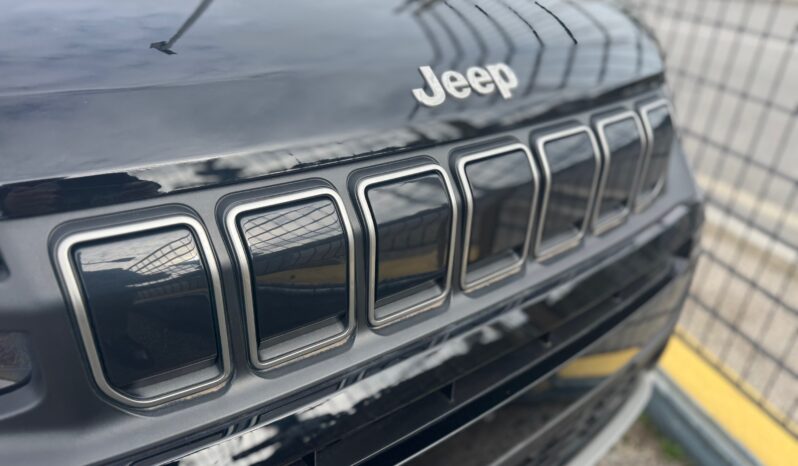 
								JEEP Avenger 1.2cc 100cv DCT MHEV Altitude full									