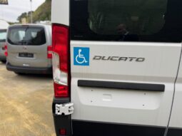 
										FIAT Ducato 9 Posti 35Q MH2 2.2 M-jet 3 140CV Trasp. Disabili full									