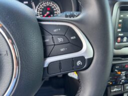 
										JEEP RENEGADE 1.0cc TURBO I3 120cv 4X2 LONGITUDE full									