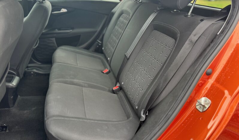 
								FIAT Tipo 5 Porte MY23 1.0cc 100cv Hatchback full									