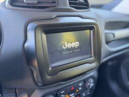 
										JEEP RENEGADE 1.0cc TURBO I3 120cv 4X2 LONGITUDE full									