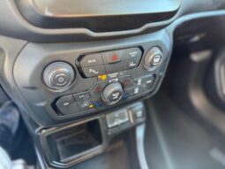 
										JEEP RENEGADE 1.0cc TURBO I3 120cv 4X2 LONGITUDE full									