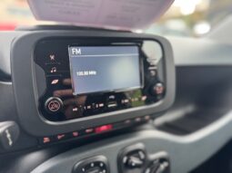 
										FIAT Panda 1.0cc Hybrid 70cv MY23 full									