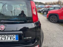 
										FIAT Panda 1.0cc Hybrid 70cv MY23 full									