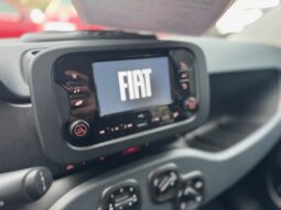 
										FIAT Panda 1.0cc Hybrid 70cv MY23 full									