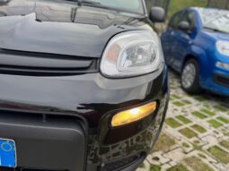 
										FIAT Panda 1.0cc Hybrid 70cv MY23 full									