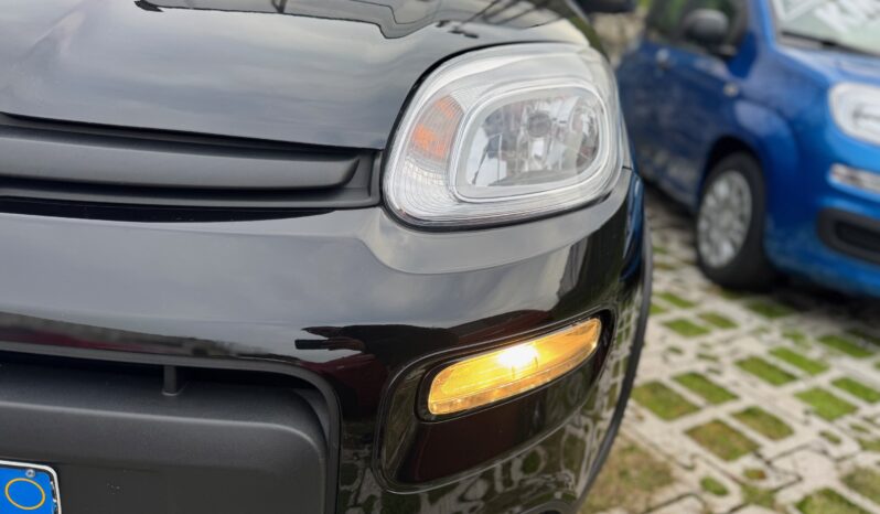 
								FIAT Panda 1.0cc Hybrid 70cv MY23 full									