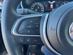 
										FIAT Tipo 5 Porte 1.0cc 100cv Benzina/GPL Hatchback full									