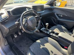 
										PEUGEOT 2008 1.5cc BlueHDi s&s 110cv GT full									