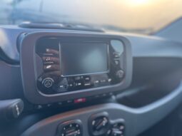 
										FIAT Panda 1.0cc Hybrid 70cv MY23 full									