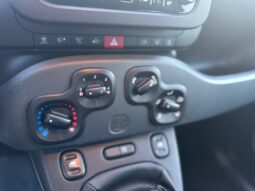 
										FIAT Panda 1.0cc Hybrid 70cv MY23 full									