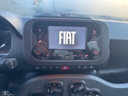 
										FIAT Panda 1.0cc Hybrid 70cv MY23 full									