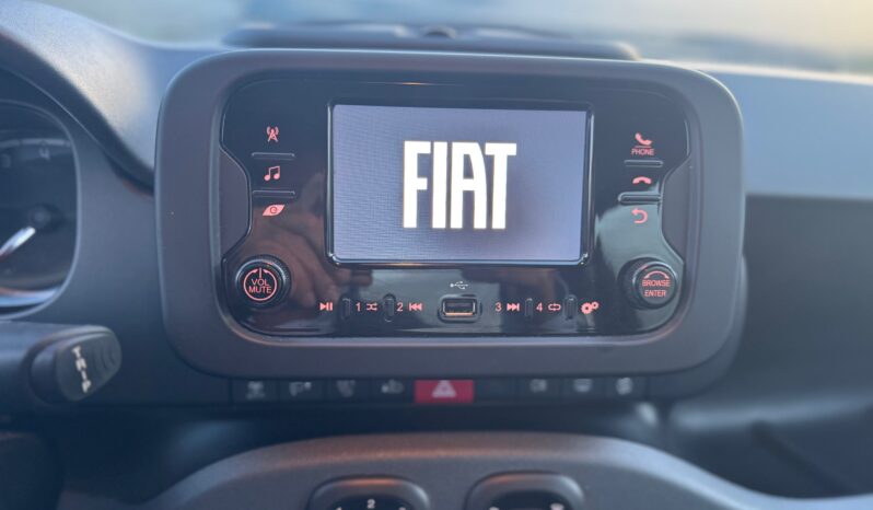 
								FIAT Panda 1.0cc Hybrid 70cv MY23 full									