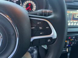 
										JEEP RENEGADE 1.0cc TURBO I3 120cv 4X2 LONGITUDE full									