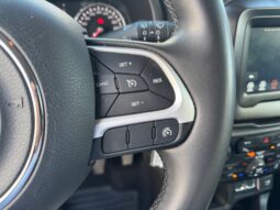 
										JEEP RENEGADE 1.0cc TURBO I3 120cv 4X2 LONGITUDE full									