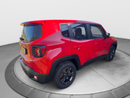 
										JEEP RENEGADE 1.0cc TURBO I3 120cv 4X2 LONGITUDE full									