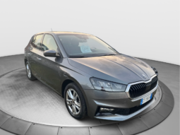 
										SKODA Fabia 1.0cc TSI 95cv Selection full									