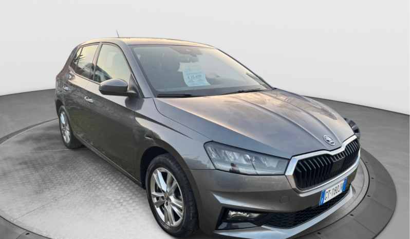 
								SKODA Fabia 1.0cc TSI 95cv Selection full									