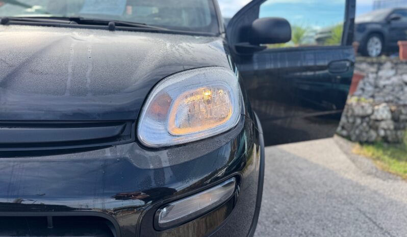 
								FIAT Panda 1.0cc Hybrid 70cv MY23 full									