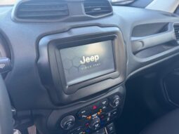 
										JEEP RENEGADE 1.0cc TURBO I3 120cv 4X2 LONGITUDE full									