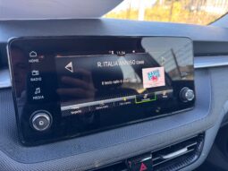 
										SKODA Fabia 1.0cc TSI 95cv Selection full									