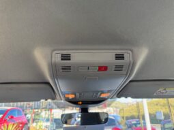 
										SKODA Fabia 1.0cc TSI 95cv Selection full									