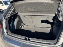 
										SKODA Fabia 1.0cc TSI 95cv Selection full									