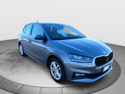 
										SKODA Fabia 1.0cc TSI 95cv Selection full									