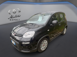 FIAT Panda 1.0cc Hybrid 70cv MY23