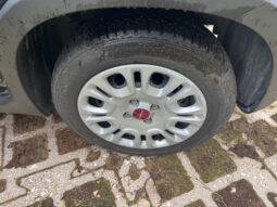 
										FIAT Panda 1.0cc Hybrid 70cv MY23 full									